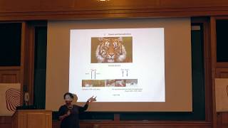 Veneeta Dayal - "Genericity and (In)Definiteness: A Cross-linguistic Perspective"