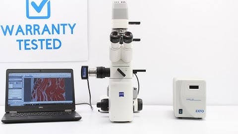 Zeiss Axio Vert.A1 Inverted Fluorescence LED Phase Contrast Microscope [BOSTONIND] - 51596