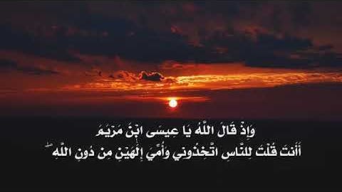 قال الله هذا يوم ينفع الصادقين صدقهم | تلاوة خاشعة القارئ محمد الغزالي