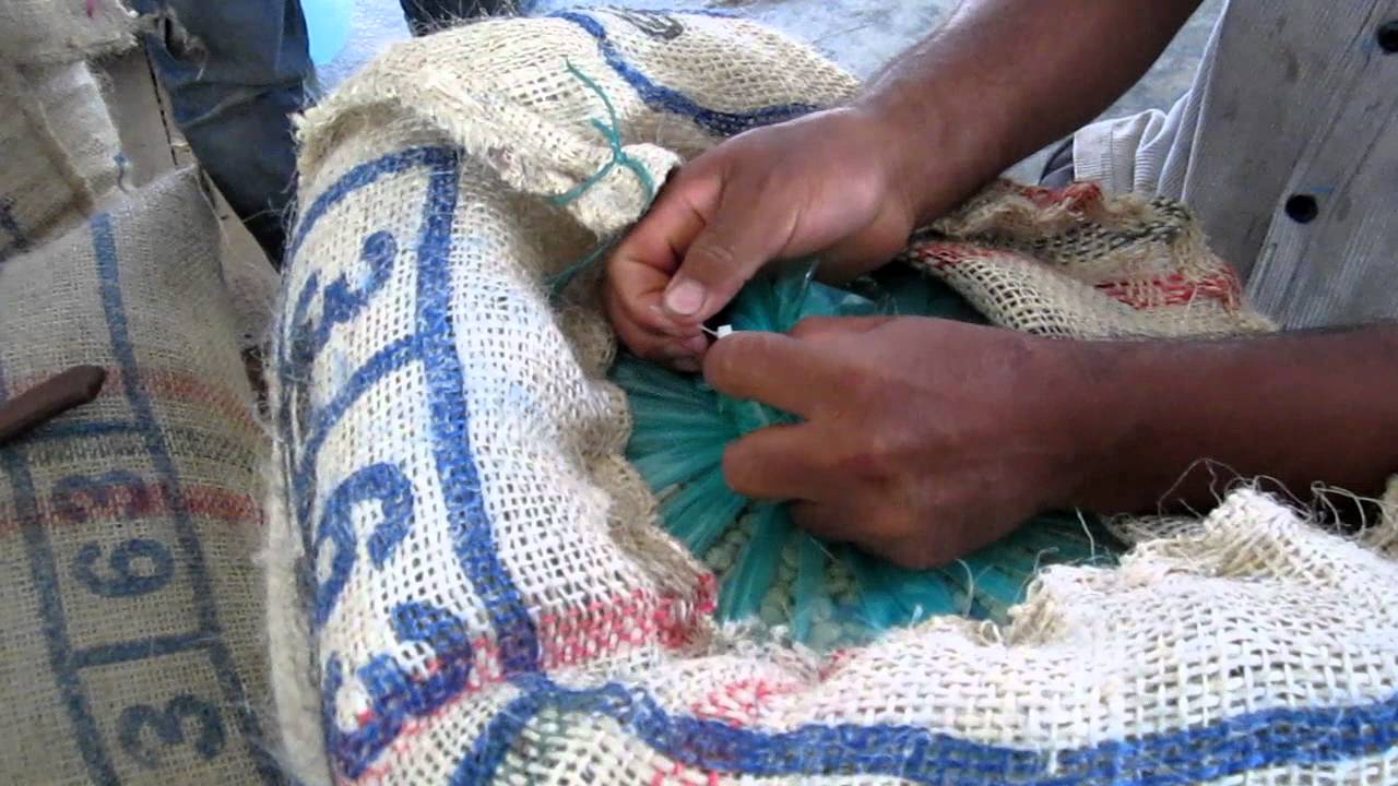 Cierre de bolsas GrainPro