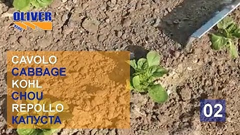 ROTOSARK SARCHIATRICE WEEDING MACHINE BINEUSE ROW CROP HACKMASCHINE BINADORA DESYERBADORA BIO