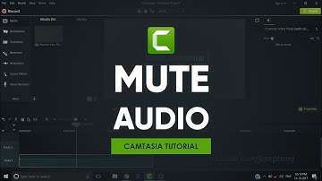 Mute Audio | Camtasia Tutorial