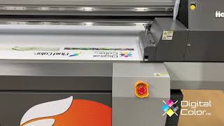 Fluid Color R84F Turbo 4' x 8' Flatbed Demo