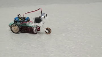 Tricycle Drive SnappyXO Robot