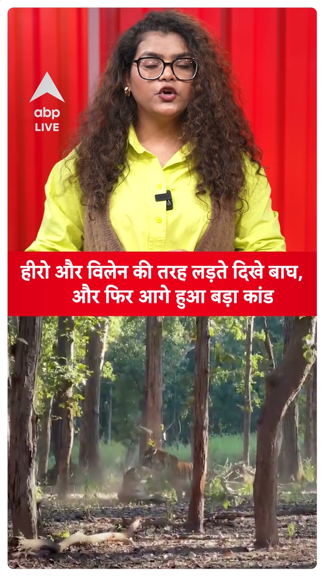 Viral Video: हीरो और विलेन की तरह लड़ते दिखे बाघ,और फिर आगे हुआ बड़ा कांड | ABP LIVE | SHORTS