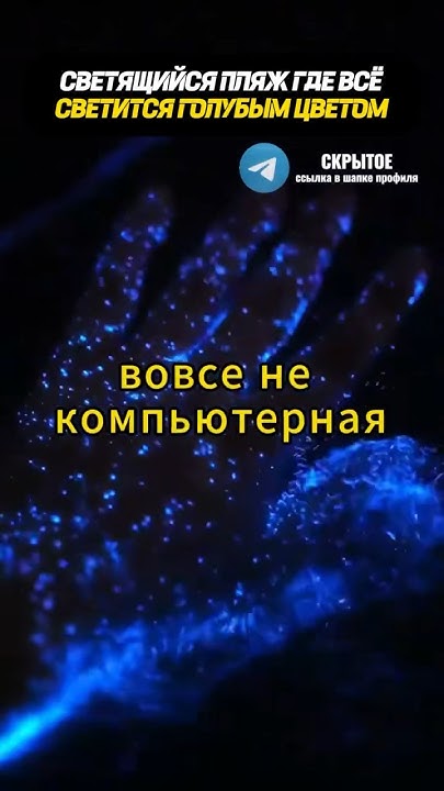 СВЕТЯЩИЙСЯ ПЛЯЖ ГДЕ ВСЕ СВЕТИТСЯ ГОЛУБЫМ ЦВЕТОМ - YouTube