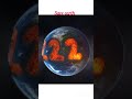 Earth future in 2222 will danger condition save earth 🌍🌍🌏#solarsmash #earth #save #plants #future