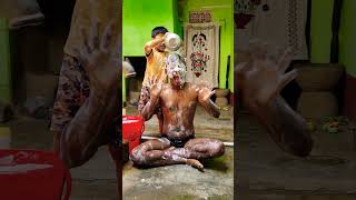 Papa Meri Papa Yrhfh Gg bollywood hindisong love