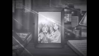 FullMetal Alchemist AMV - Brothers