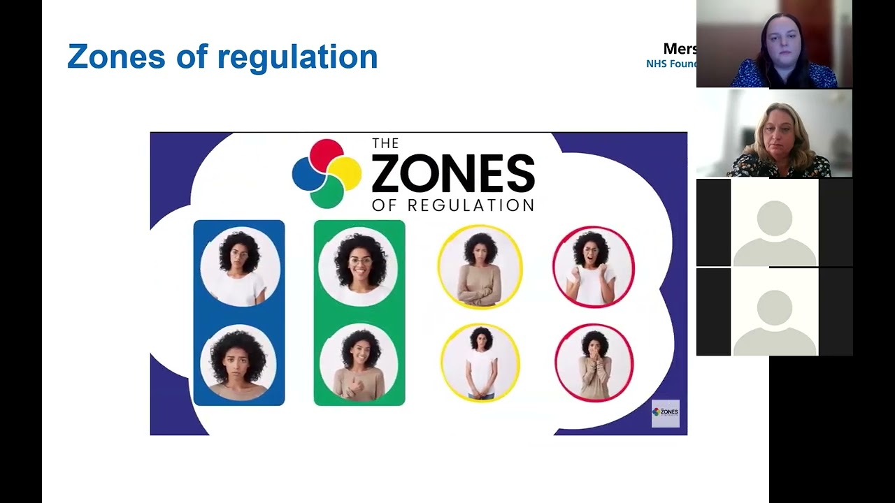 Understanding emotional regulation webinar