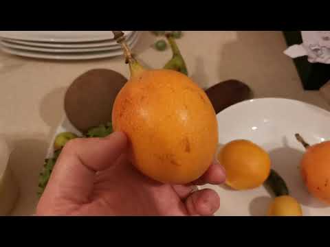 Vídeo: Granadilla Amarela