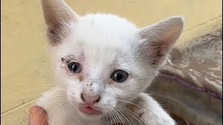 Sweet Teddy Grew Up in Street ... All He's Waiting for Is a Love 