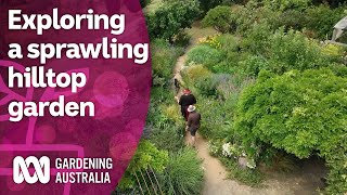 How this sprawling hilltop garden provides artistic inspiration | Discovery | Gardening Australia