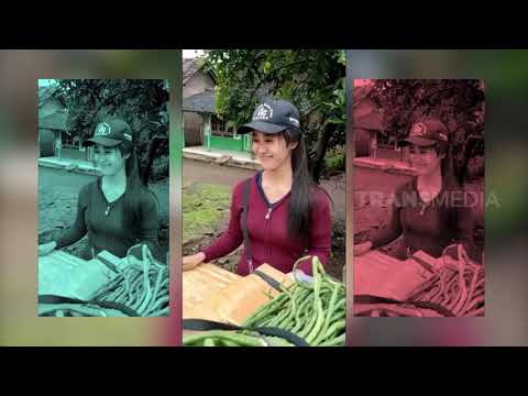 Viral Penjual Sayur Cantik | REDAKSI PAGI (30/12/20)