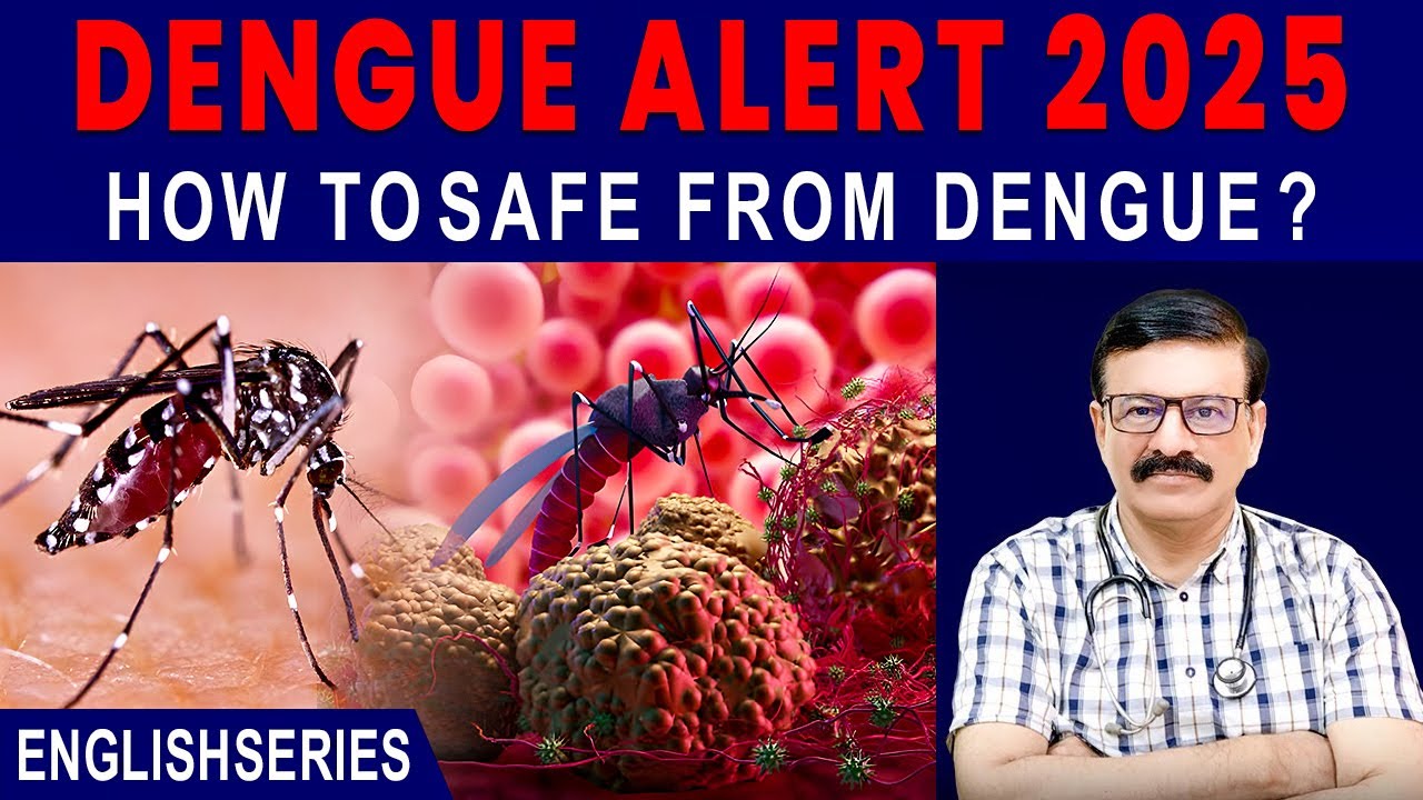 Dengue Fever 2025 Full Guide Early Symptoms, Warning Signs & Prevention Tips