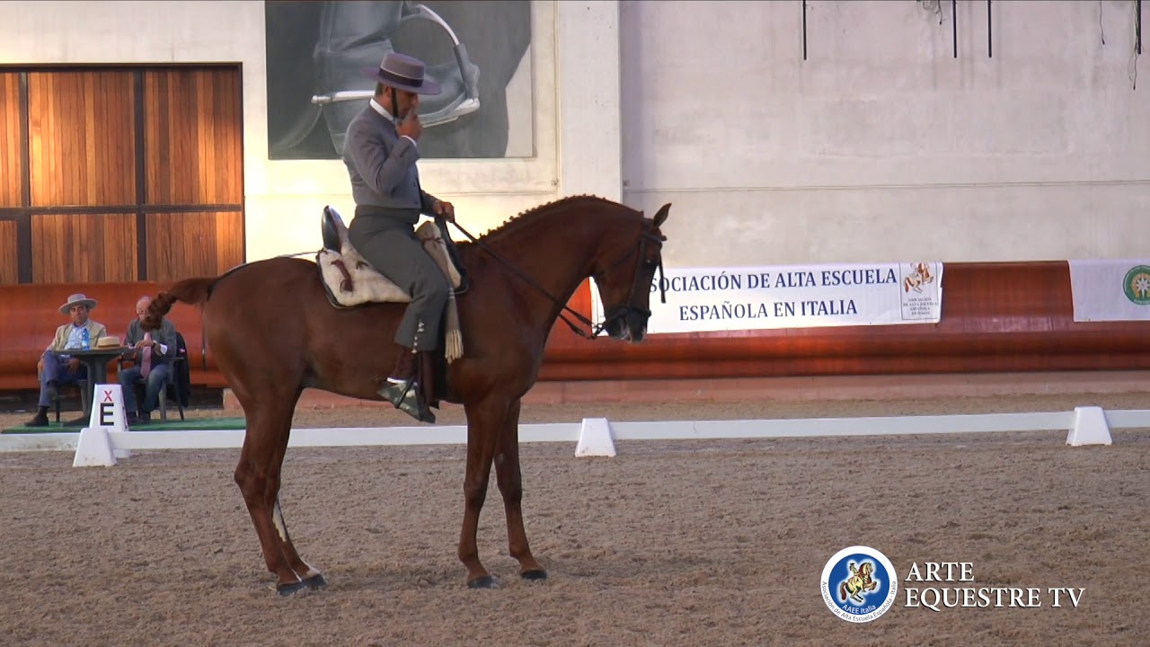 AAEE ITALIA - CAMPIONATO ITALIANO DOMA VAQUERA E COPPA ITALIA - 5° TAPPA - SEBASTIANO VINCI G.