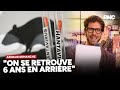 Hantavirus : des nouveaux cas-contacts