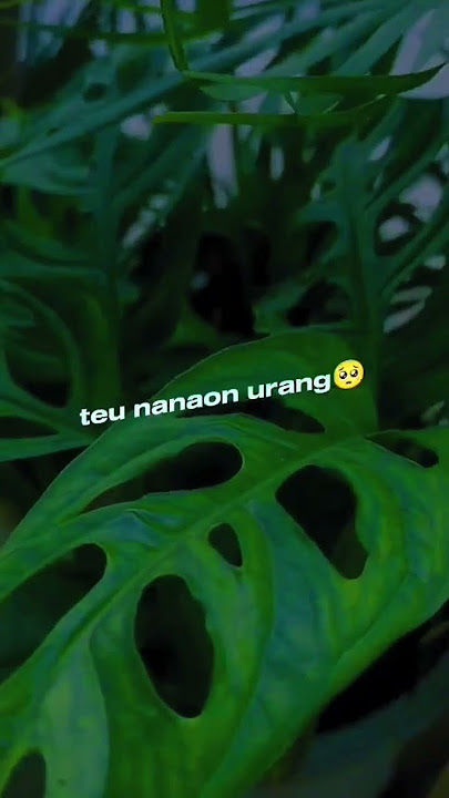 teu nanaon #fypシ゚viral #videoshort
