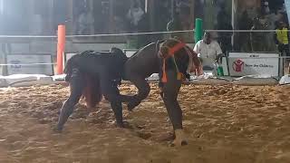 Kokowa Sabuwa Zakiru Zakari Da Rabiou Kan Kura 💪💪💪💪💪💪🤲🤲🤲🤲🤲🤲🤲🤲💪💪💪💪💪💪🌹🌹