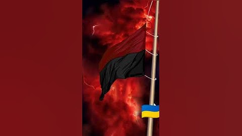 #украина#ukraine#україна#война#зсу#прапори#славаукраїні#оун#унр#бандера