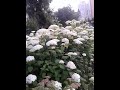Київ 2023