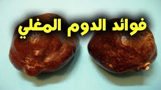 ماذا  يحصل عن تناول الدوم المغلي ,والامراض التى يعالجها ويقى منها الدوم !!نتائج مذهلة