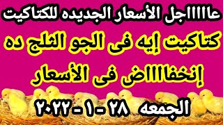 أسعار الكتكوت الأبيض اليوم | أسعار الكتاكيت اليوم | الجمعه ٢٨-١-٢٠٢٢ في جميع الشركات