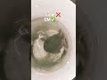 Turtle bana CM#funny#viral#ytshorts#turtle #kechua#shortvideo#aryankelvin#memes#comedy#reels#viral#