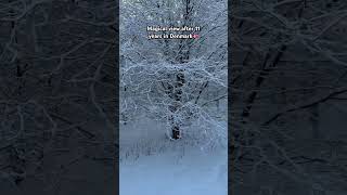 Snow in Denmark after 11 years / Magical snow view / Aarhus snowfall / Is this snow real