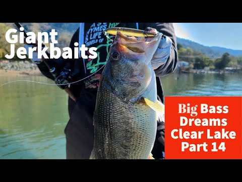 Bigger Jerkbaits Result in Bigger BASS - Big Bass Dreams Clear Lake Part 14  