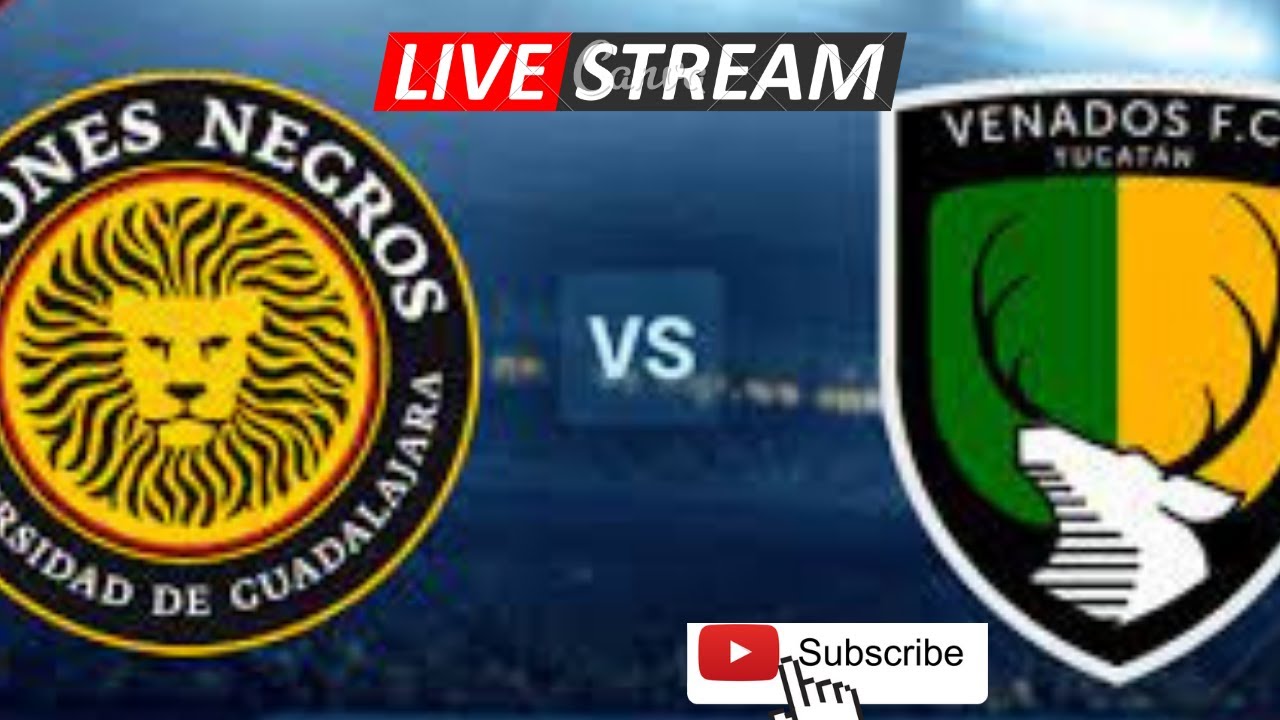 venados fc 1-0 leones negros - YouTube