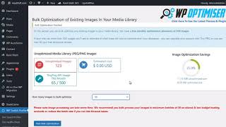 The Biggest WordPress Speed Issues Fixed !  WP Profiler