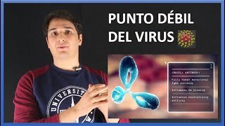 Coronavirus: Cómo actúa y cómo combatirlo con Biotecnología. EN 10 MINUTOS.