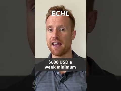 Indy Fuel Salary