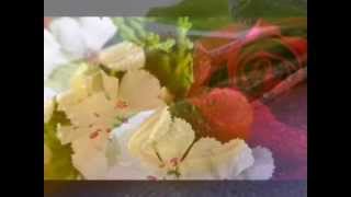 Abdulkadir UZUN - Açan Çiçeklere Meyve Verilmiyor Muhammed'siz... Resimi