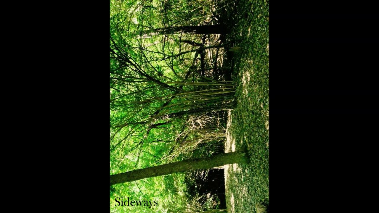 Sideways by Eric Schmassmann