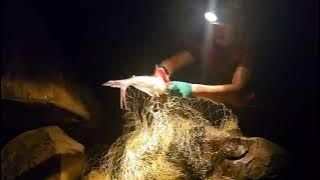 Air Yang Deras Ada Penunggu🐊😱‼️