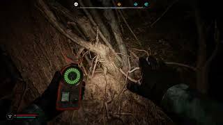 S.T.A.L.K.E.R. 2 bugged artifact