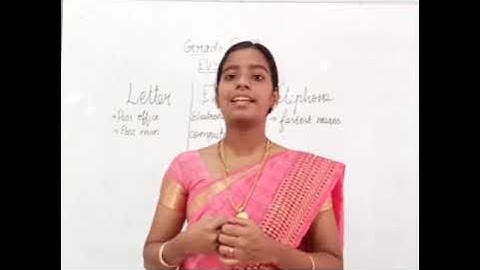 Grade 2 EVS / How we Communicate