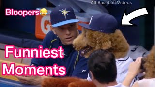 MLB | Best  "Funniest Moments" in Baseball (Part.3)