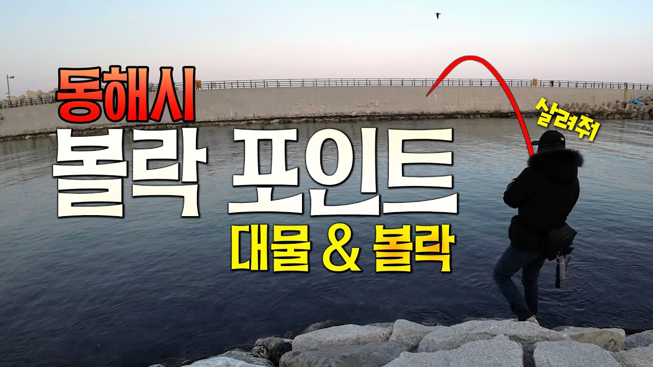 볼락 루어 낚시 포인트 - 강원도 동해시 어달항 & 대진항 - 해루질도 직관 꿀잼이었어요