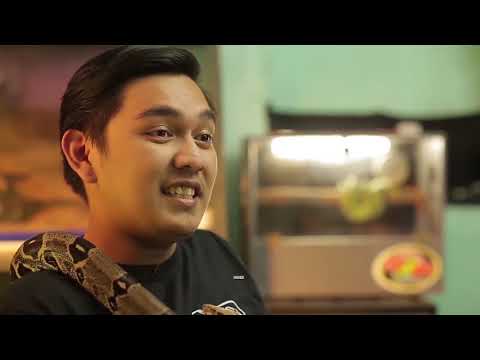 Video: Magkano Ang Gastos Sa Sawa