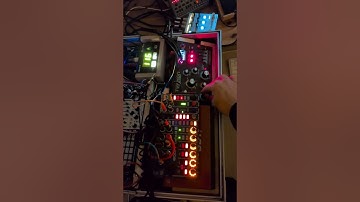 Polyend Tracker/ Roland S1/dreadbox typhon. #synthwave  #hiphopbeats #dreadbox  #polyend