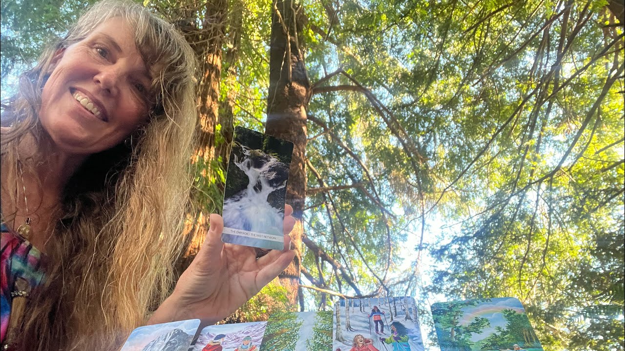 Where the Trees Teach 🌿 A Nature Guided Tarot Reading