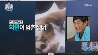 [My Little Television] 마이 리틀 텔레비전 - Lee Gyeonggyu finds someone to take puppies 20161203