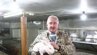 Почему белгородский фермер Виктор Ширин разводит кроликов