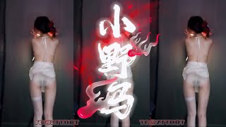 网易CC小野马 | 性感抖臀舞 | 内容超爆💋