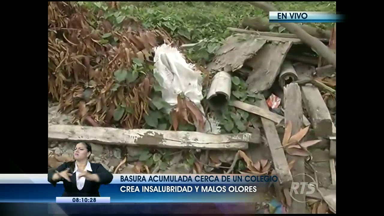 Basura acumulada crea insalubridad y malos olores - YouTube