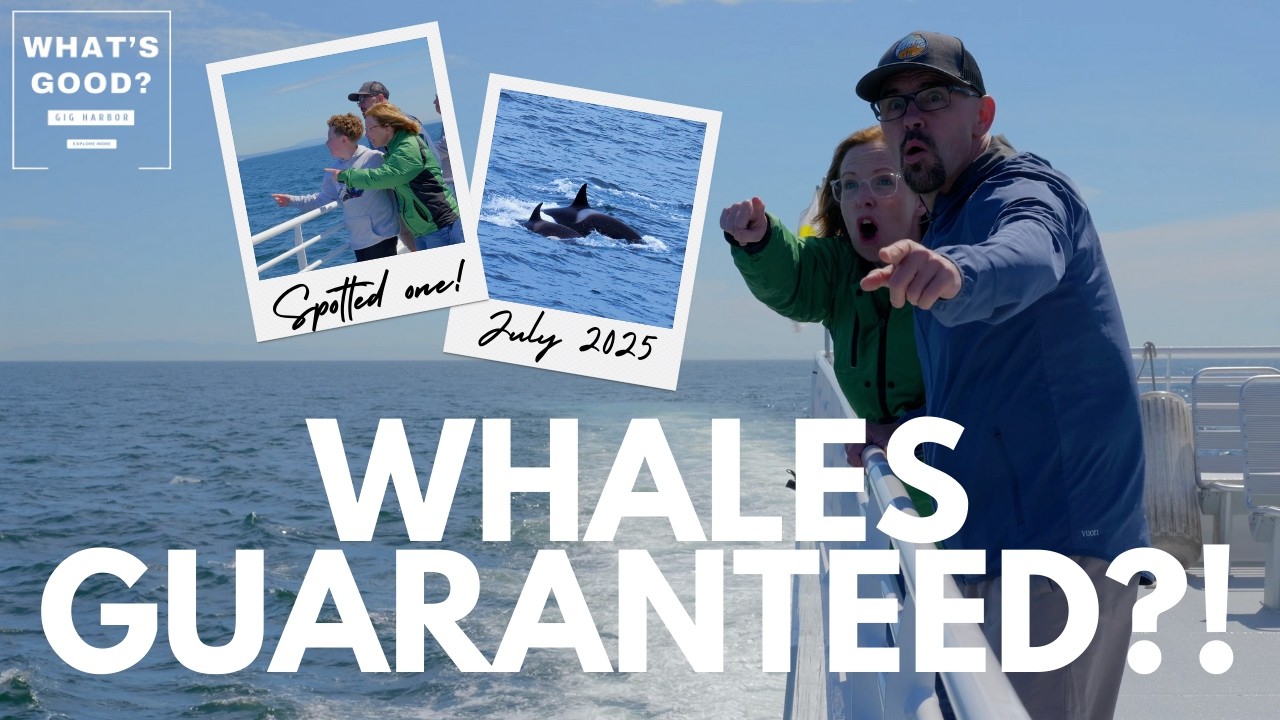 Gig Harbor’s Best Day Trip: Whale Watching with Puget Sound Express
