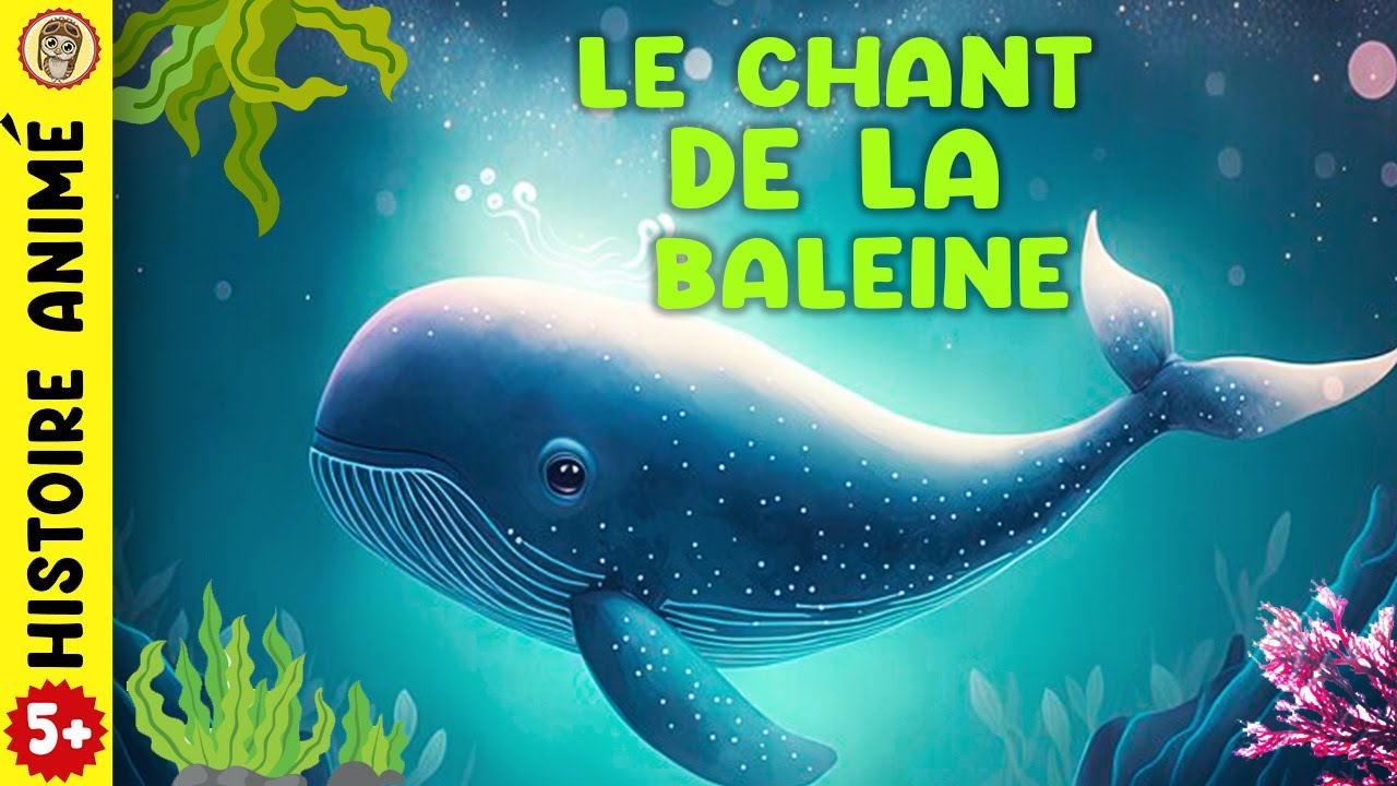 HISTOIRE POUR DORMIR pour enfant. " LE CHANT DE LA BALEINE " S'endormir